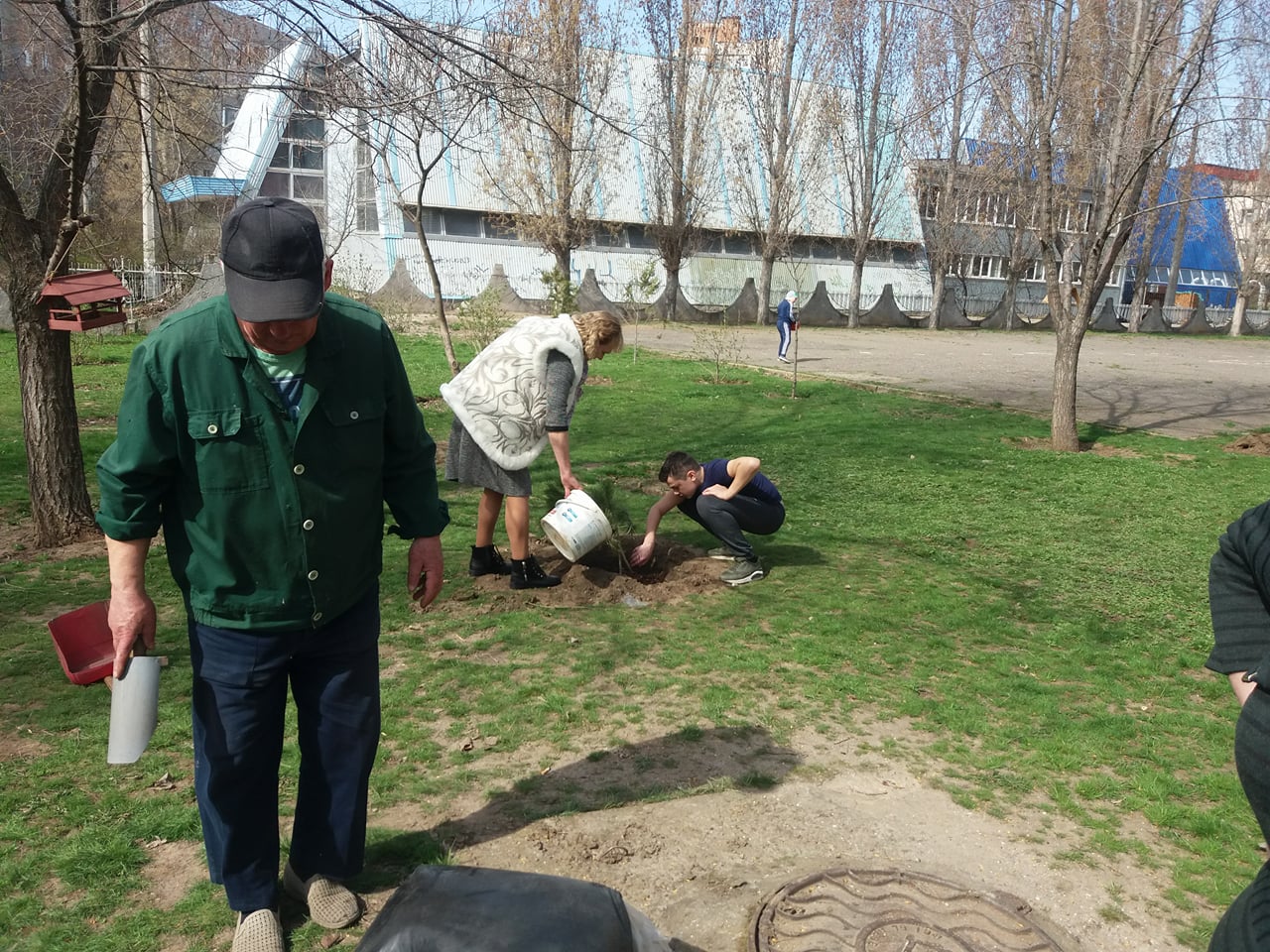 В Николаеве на Намыве жители постоянно воруют молодые саженцы деревьев из  школьного сада | СВІДОК.info