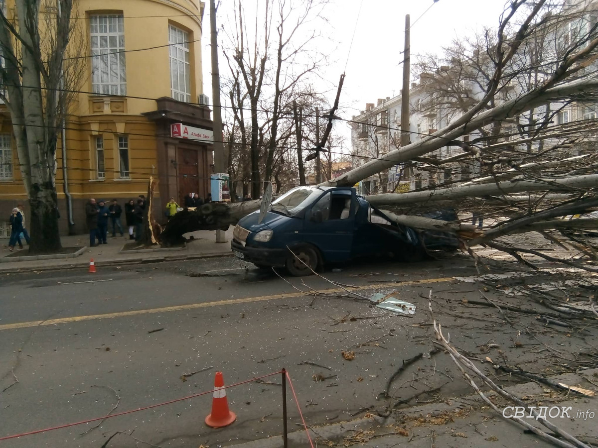 Газель в дерево