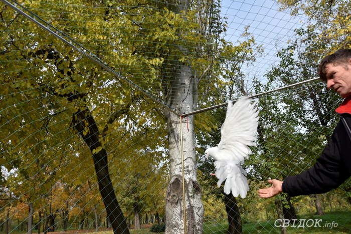 Выставка-ярмарка голубей, г.Николаев, 27.10.2018г.