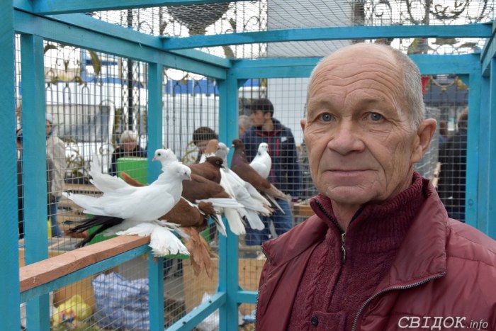 Выставка-ярмарка голубей, г.Николаев, 27.10.2018г.